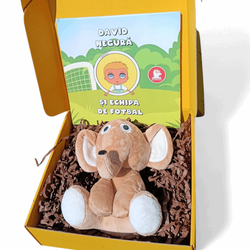 AlpacaBox 4 (baieti)